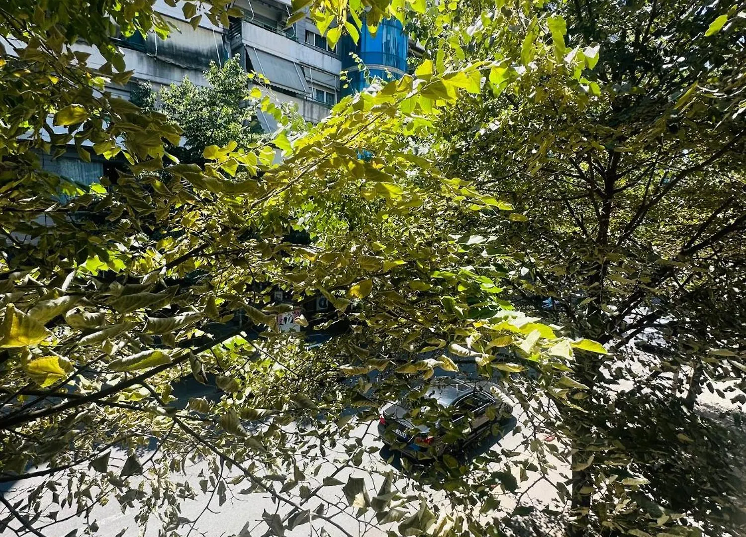 Appartamento Sunlight & Comfort Flat 4 Pax Tirana